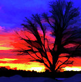 Amaze Blaze and Mystify