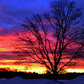 Driveby Shooting No. 8 - Valentine's Sunrise